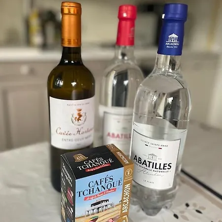 L'oustal, Meuble De Tourisme 4*, Aux Abatilles * Arcachon